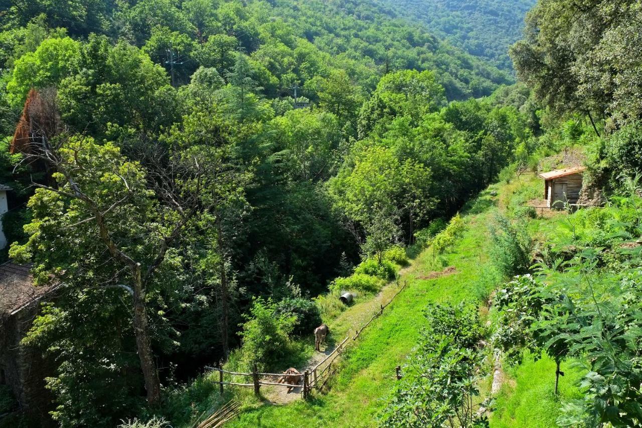 Le Clarou Panzió Valleraugue Kültér fotó